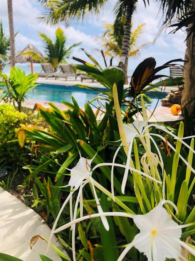 Coral Cove Inn Maya Beach Buitenkant foto